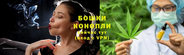 бошки Пересвет