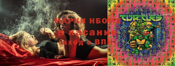 бошки Пересвет