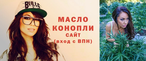 стафф Дмитриев