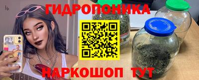 Альфа ПВП Заволжье
