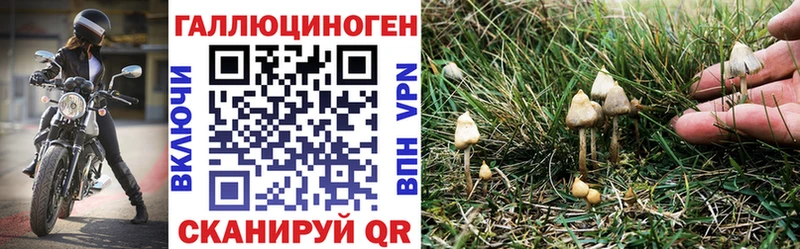 Псилоцибиновые грибы Magic Shrooms сколько стоит Реж