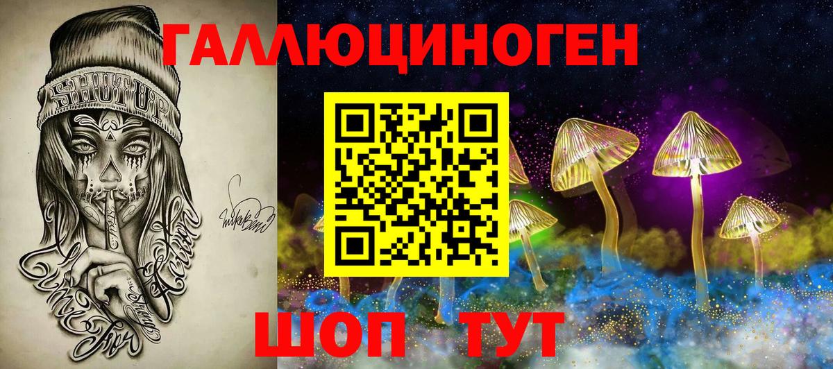 Галлюциногенные грибы Magic Shrooms  Вход с VPN  Реж  Псилоцибиновые грибы прущие грибы 